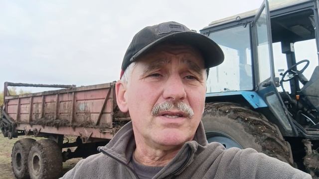 Коротко о фгисах, анализах и декларациях