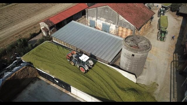 😮*NEW* CLAAS JAGUAR 990 TT  | SILAGE 2021 - TRINCIATO MAIS | FELTI 🇮🇹