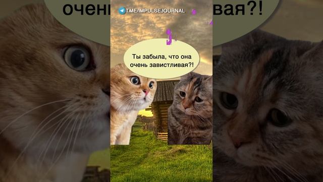 Зависть соседа #мыкотики #вмем #разговор #анекдот #шутки #кот #юмор #смешное #прикольно #мемы #cat