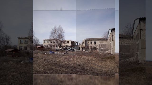 VID_20240306_003513_886