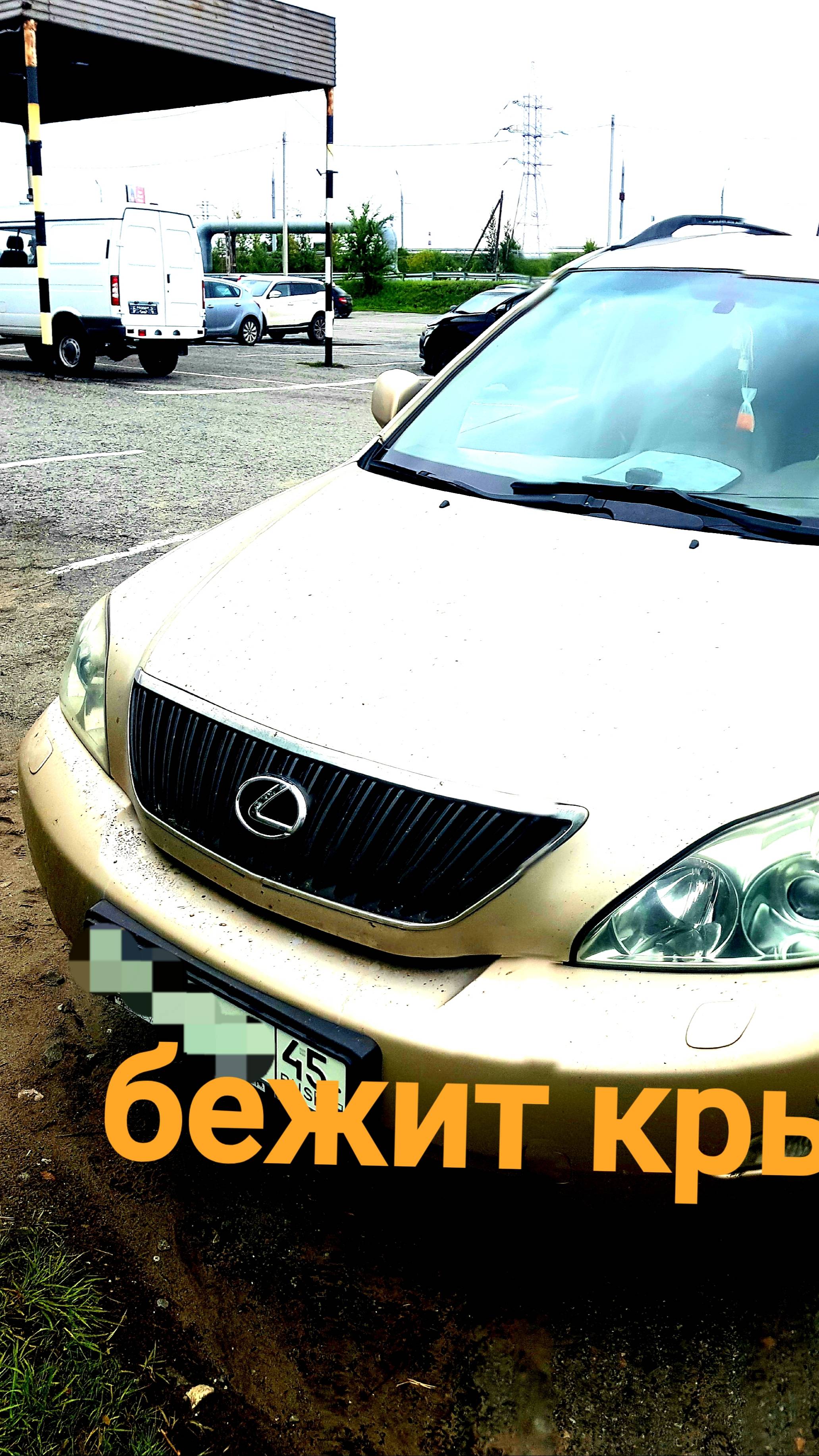 Lexus rx 300 бежит крыша устраняем (2)