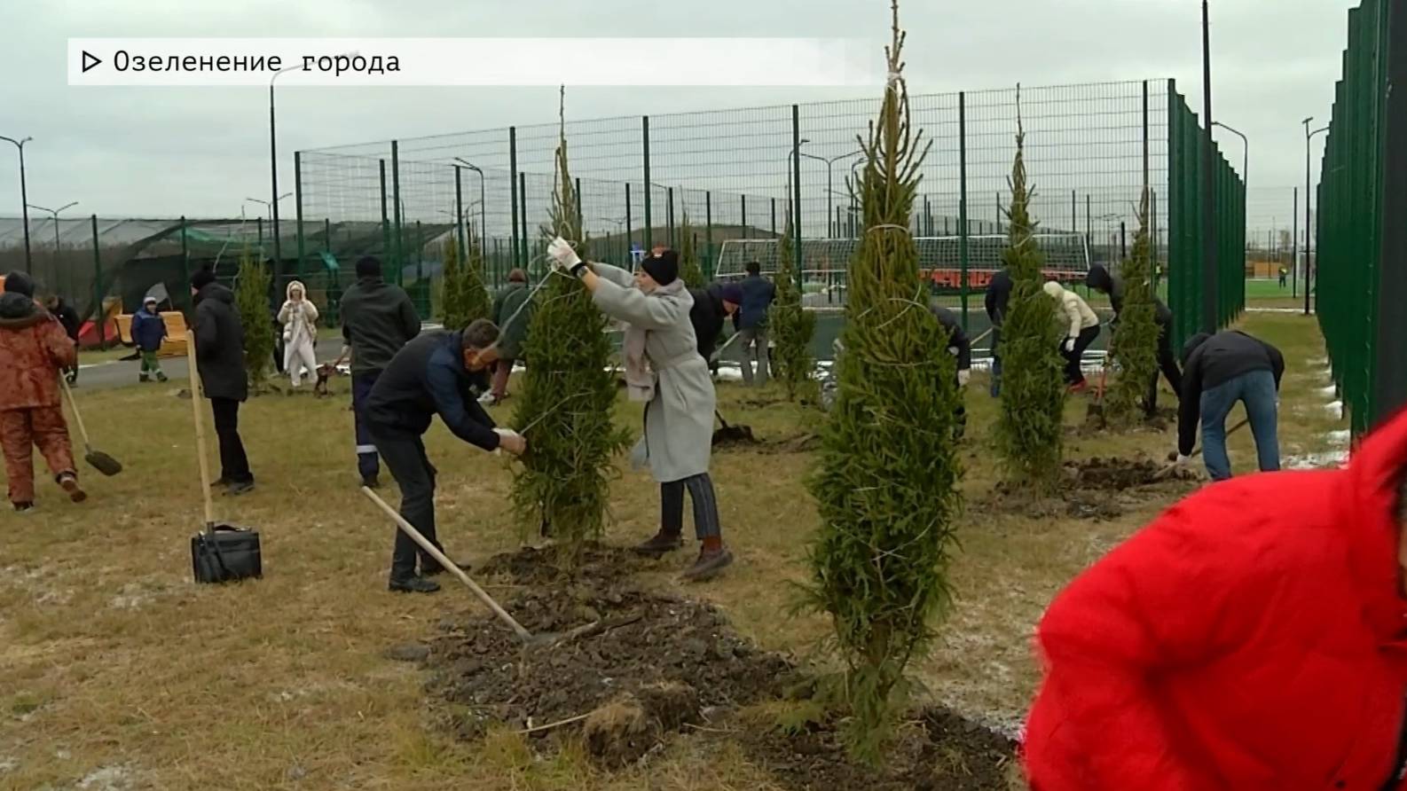 Время местное. Эфир: 14-10-2024 - Озеленение города