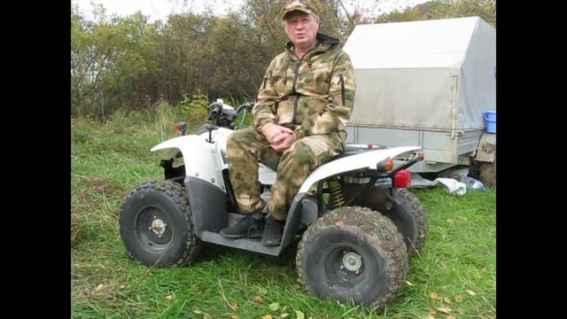 Ишачок на природе