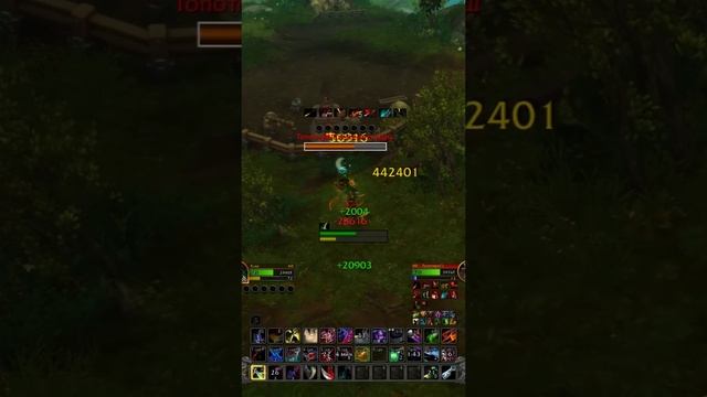 Envenom on Druid | Assassination Rogue PvP | TWW