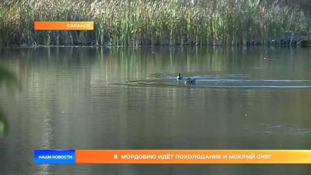 В Мордовию идёт похолодание и мокрый снег