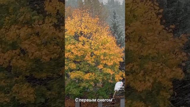 14-10-2024осень