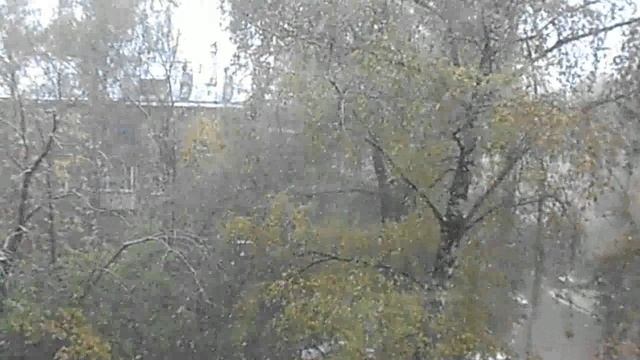 HD БЕЗ ЗВУКА Снегопад 14.10.2024. DSCN5828