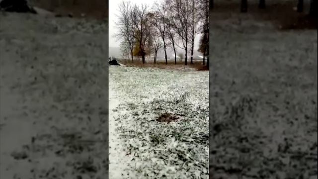 Первый снег в Любимском районе Ярославля