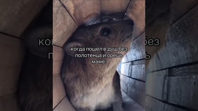 Фундамент