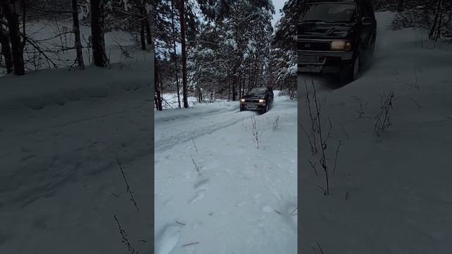 Время циклично, времена года изменить нельзя …