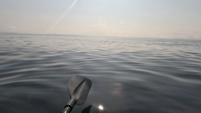 1000131607.mp4