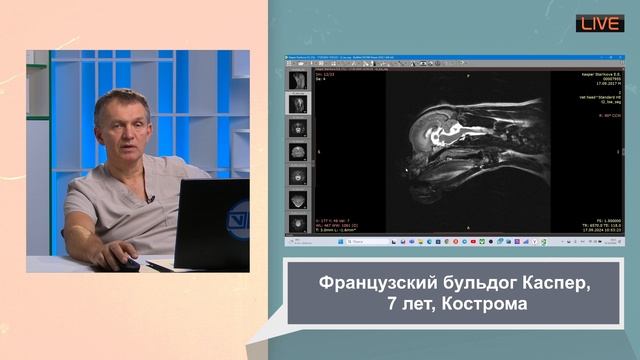 Случаи в интернете как правильно лечить