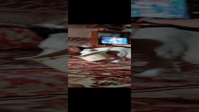 Чем бы таким заняться,все же заняты?