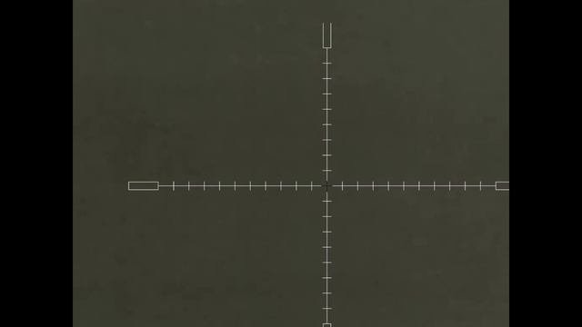 14.10.2024 г. Охота на шакала продолжается