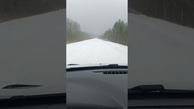 Трасса Алтай-Кузбасс❄️

Видео от 14.10.2024г. 
ДТП Кузбасс.