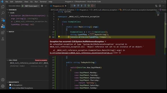 NullReferenceException and how do I fix it in C#