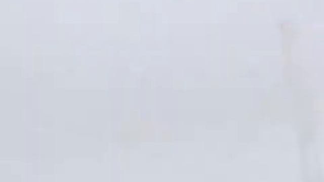Студия 