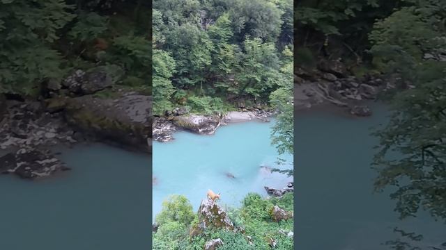 виды из кафе Сойка в Абхазии.потпути к озеру Рица