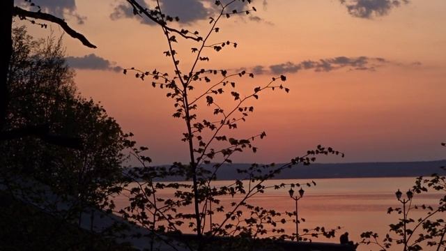 Завершая вечный круг, сл. В. Шентала,муз.. и исп. ИИ SUNO, запр. С. Морозов