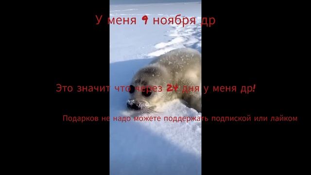 др в 9 ноября