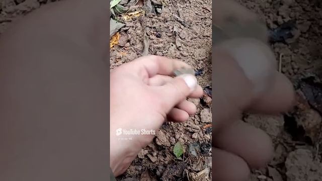 Исам помятый