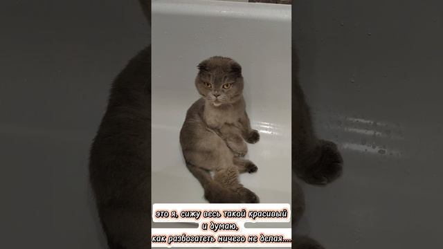 Доминик богатеет