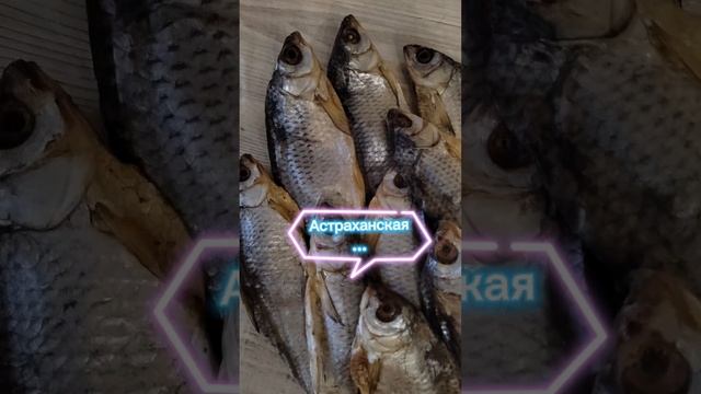 #cat #видео #spring #котик #shortvideo #кот #юмор #shots #прикол #fish #eating #wow #like #live