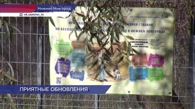 Благоустройство второй части Лопатинского оврага завершилось в Нижнем Новгороде