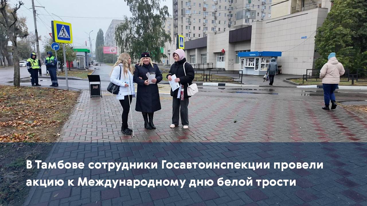 В Тамбове сотрудники Госавтоинспекции провели акцию к Международному дню белой трости