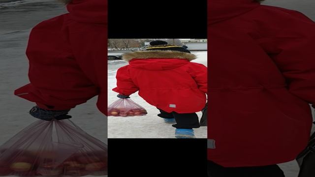 Купили сазана на рынке