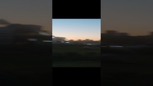 Гигантские одуванчики!