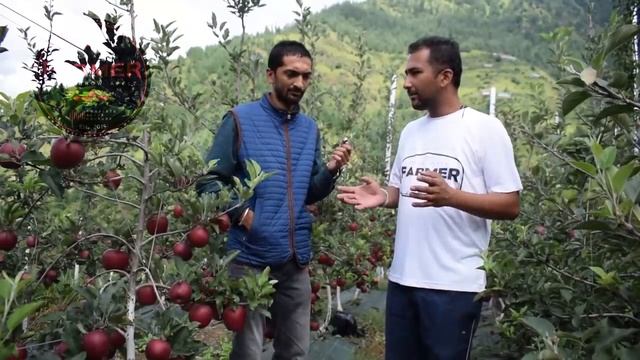 समीक्षा | M9 / H.D.P. सिस्टम  | #Vishal_Beakta | lets Grow Apple