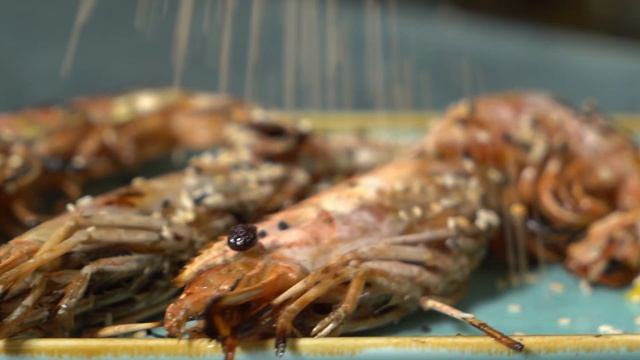 Фестиваль Берега вкуса-2023. Кафе Романо.