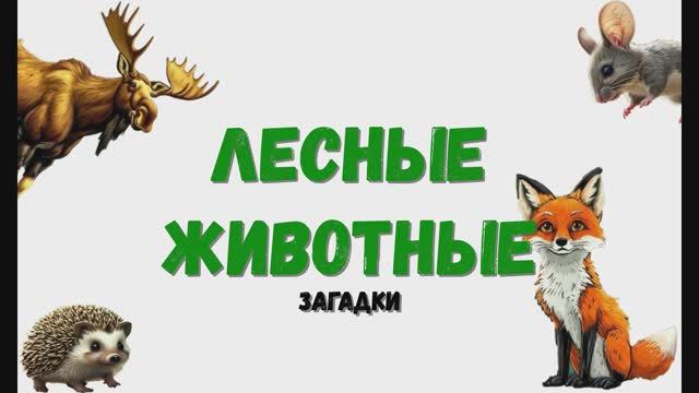 Загадки. Лесные животные. Изучаем животных.