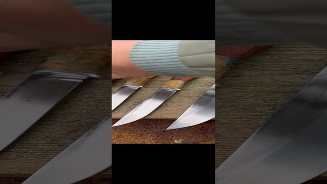 15-10-2024 aus-10co | 4000