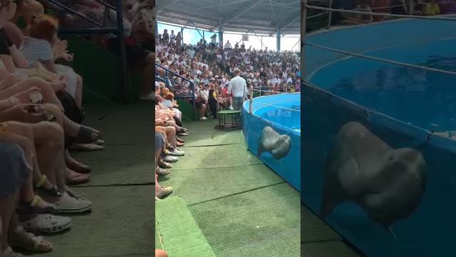 хз чё писать
