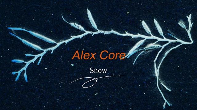 Alex Core - Snow