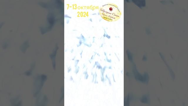 ☝️Что связала с 7 октября по 13 октября 2024г.
❗Рубрика #недельныйотчет