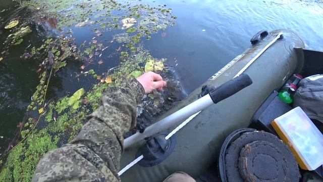 Щука в заросшем водоеме. Ловля щуки на кружки в зарослях.