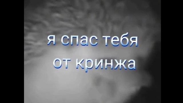 Я вернулся типа