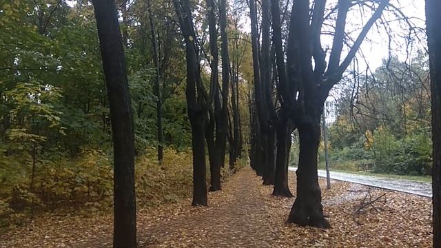 Измайловский парк. В поисках "майора Белкина". К сожалению, переговорить с "майором" не удалось.