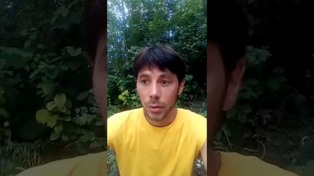 Отзыв о Системе Неформальной Гипнотизации. Психопрактик.