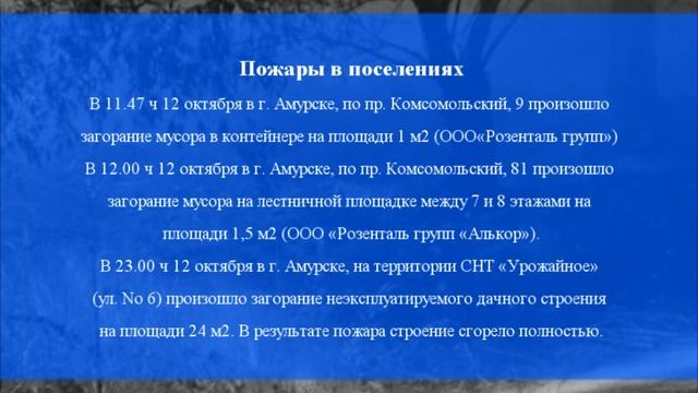 Оперативная обстановка на территории Амурского муниципального района с 7 по 13 октября 2024 года