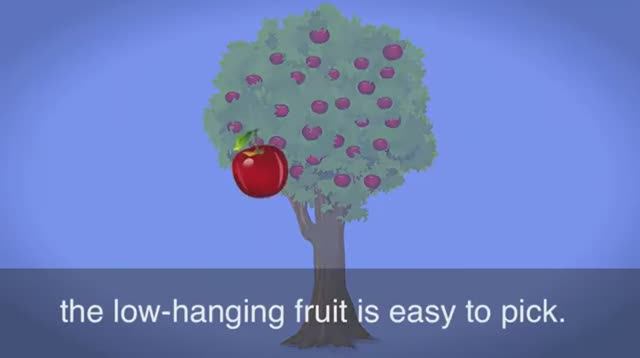 low-hanging fruit