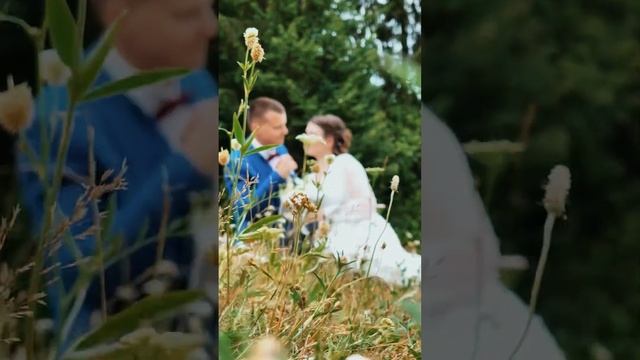 СВАДЬБА сестры  поснимала для близких #wedding #lovestory
