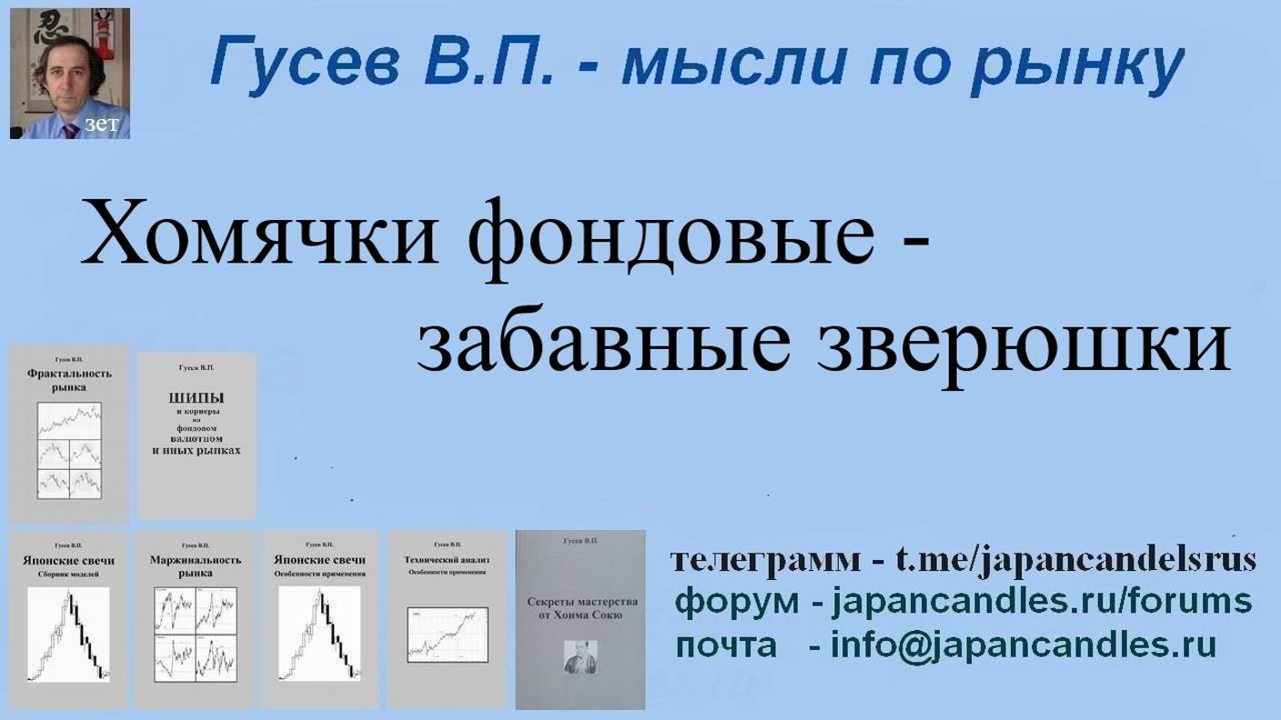 2024-10-15 забавные фондовые хомячки