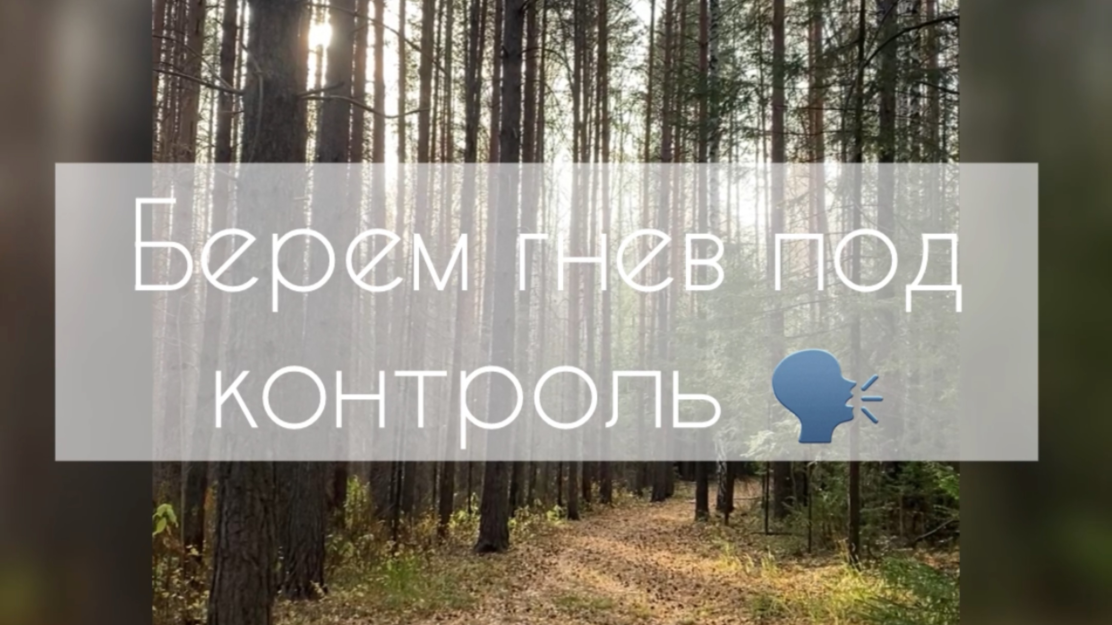 Берем гнев под контроль 🗣️