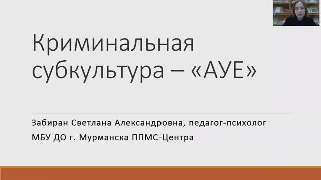 Вебинар Криминальная субкультура
