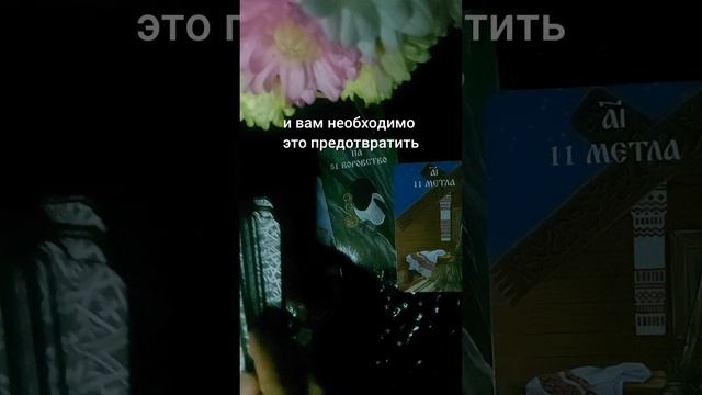 Оракул дает совет. #таро #тародлявсех #оракул #предсказание