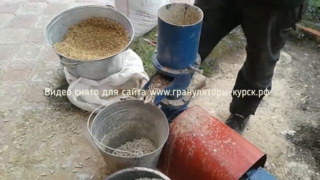 Гранулятор Соловей гранулируем чистую пшеницу.(!изменился номер!)